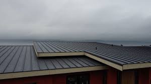 Best Green or Eco-Friendly Roofing Solutions  in Mena, AR